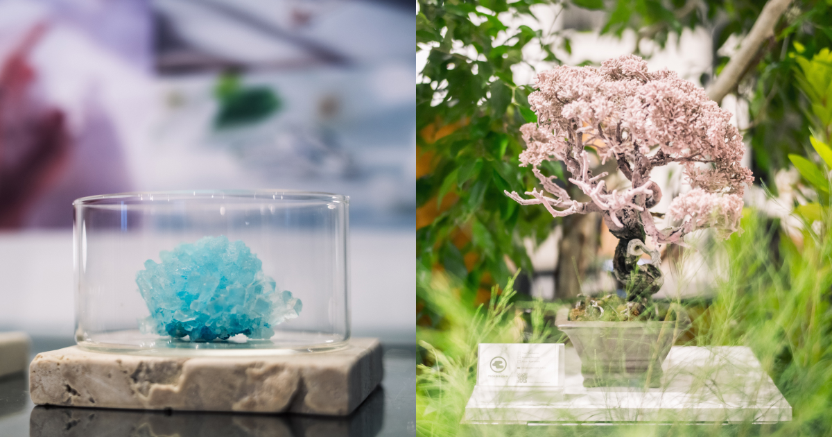 100BIO元年——DESIGNART TOKYO2024を終えて - 100BANCH