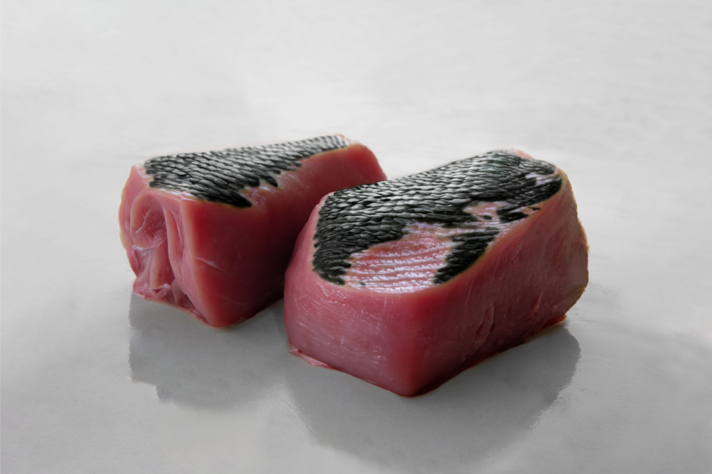 バイオプロジェクトの展示